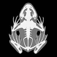 3D Frog Anatomy pour PC