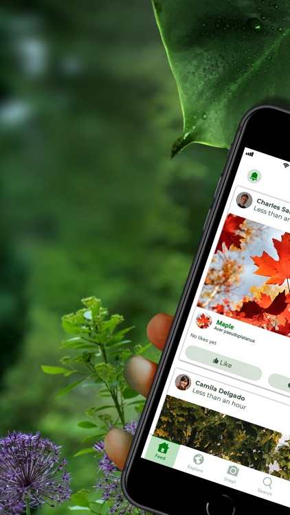 PlantSnap - identify plants