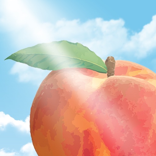 Peach State FCU Mobile Icon