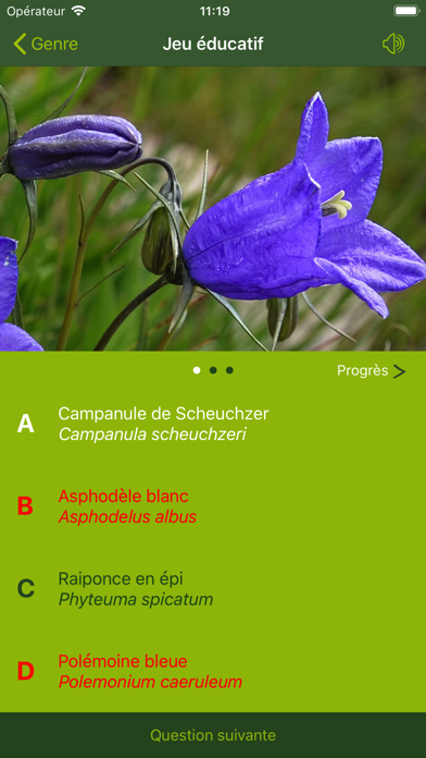 Fleurs des Alpes Finder Europe Fleurs des Alpes Finder Europe