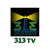 313 TV