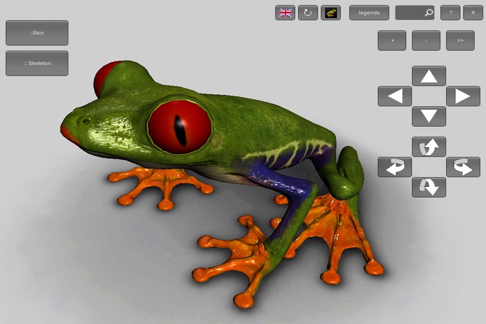 3D Frog Skeleton screenshot 2