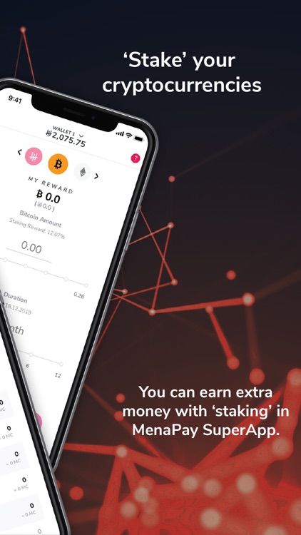 MenaPay screenshot-6