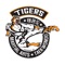 Tiger's Martial Arts Academy focuses mainly on our hardworking students