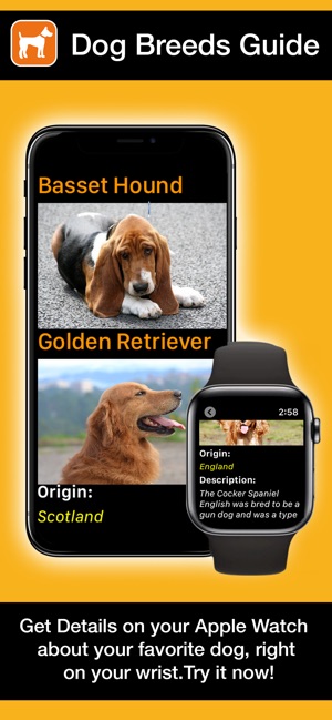 Dogs Guide for Watch: Breeds(圖2)-速報App