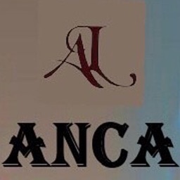 ANCA STILIZATE SPRANCENE