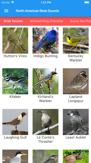 North American Birds Sounds