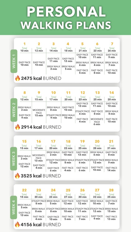 Walking & Weight Loss by Fito