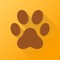 Petsfriend is an application about managing domestic animals - Dogs and Cats