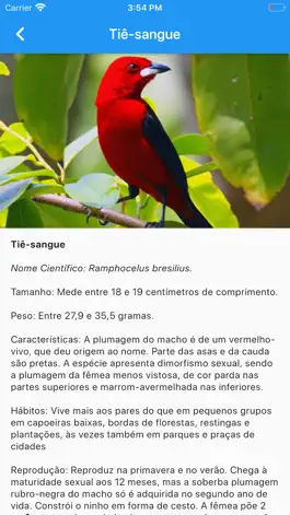 Game screenshot Eco aves - Biologia apk