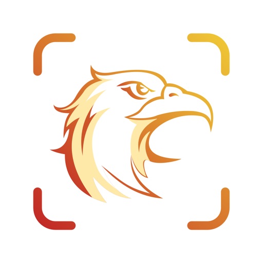 Picture Bird: Birds Identifier