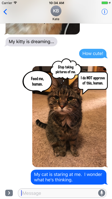 How to cancel & delete Kitty Thoughts Sticker Pack from iphone & ipad 3