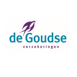 de Goudse Connected Car