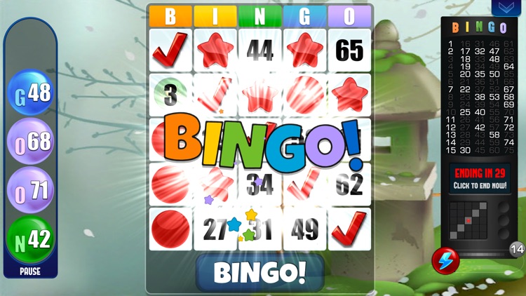 Absolute Bingo! Play Fun Games screenshot-5