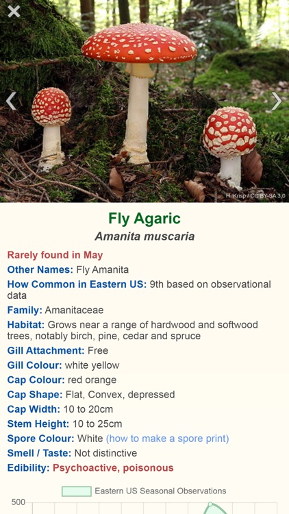 Shroomify - Mushroom ID USA screenshot-6