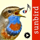 Top 21 Reference Apps Like Chants d’oiseaux avec reconnaissance automatiques - Best Alternatives