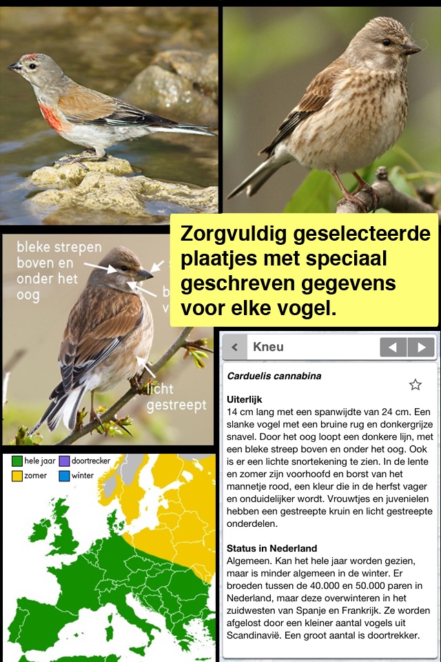 Vogels in Nederland Pro screenshot 2