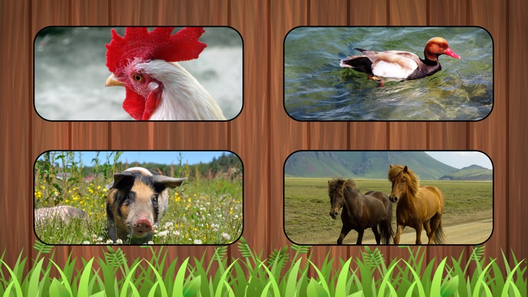 Listen Farm Animals screenshot-3