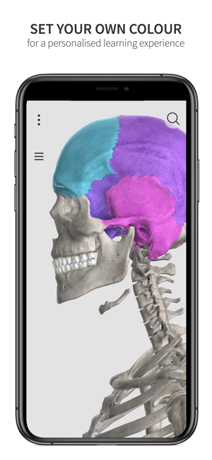 Anatomyka Skeleton(圖5)-速報App