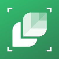 Plant Identifier: LeafSnap на пк