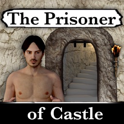 The Prisoner of Castle