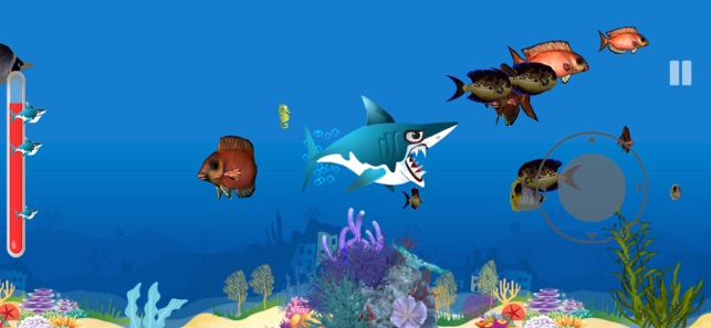 Shark Journey: Feeding Frenzy