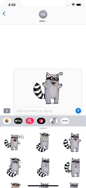 Racoon Stickers Pack(圖4)-速報App