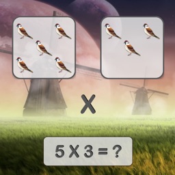 BirdsCountMultiplication