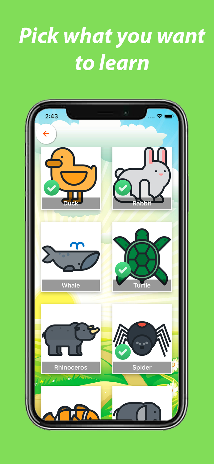 Kids Curiosity - Learn  Play