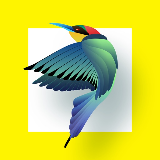 Bird Identification icon