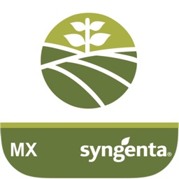 Syngenta MX