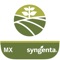 Con la aplicación de Syngenta puedes acceder a información asociada al cuidado de tu cultivo y contar con la tranquilidad de que tu trabajo será respaldado y protegido por expertos en agronegocios