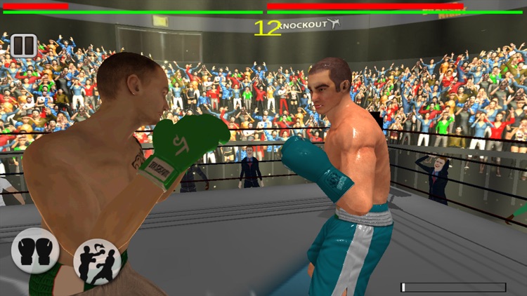 Real 3D Boxing Punch