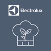 Electrolux Master X