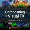 Compositing Course for FCP X