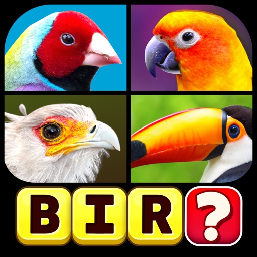 Pics - Guess the word iOS App