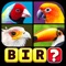 Guess the words from the pictures