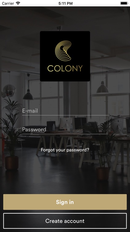 Colony Coworking Space