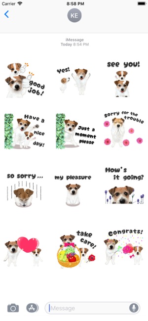 Jack Russell Animation 2(圖3)-速報App