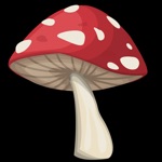 Mushroom Fungus Identifier