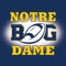 Enjoy Blue & Gold Illustrated on your iOS device