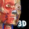 Anatomy Learning - 3D Anatomy