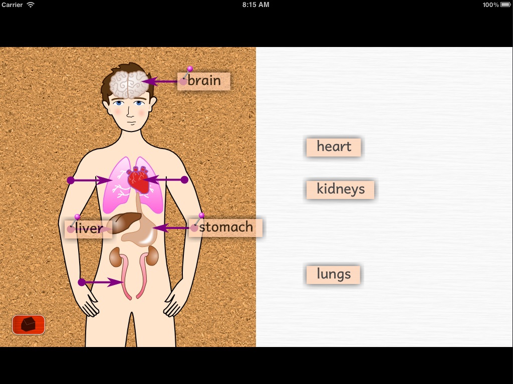 Naming Parts of the Body screenshot 3