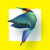 Bird Identification - iPhoneアプリ