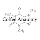 Coffee Anatomy