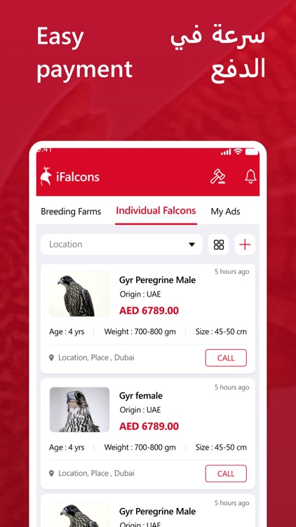 iFalcons screenshot-4