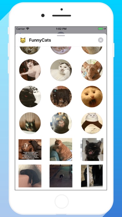 Talkitty - Cats Stickers screenshot 3
