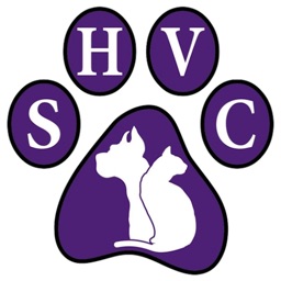 Spring Hill Vet