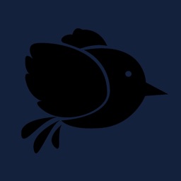 Blackbird - Sleep & Meditation