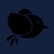 Blackbird - Sleep & Meditation is the perfect app for sleep sounds which can help you fall asleep and relax